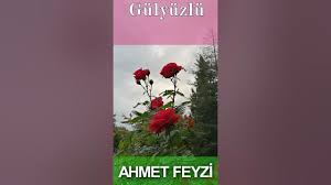 Ahmet Feyzi - gul yuzlu sultanim